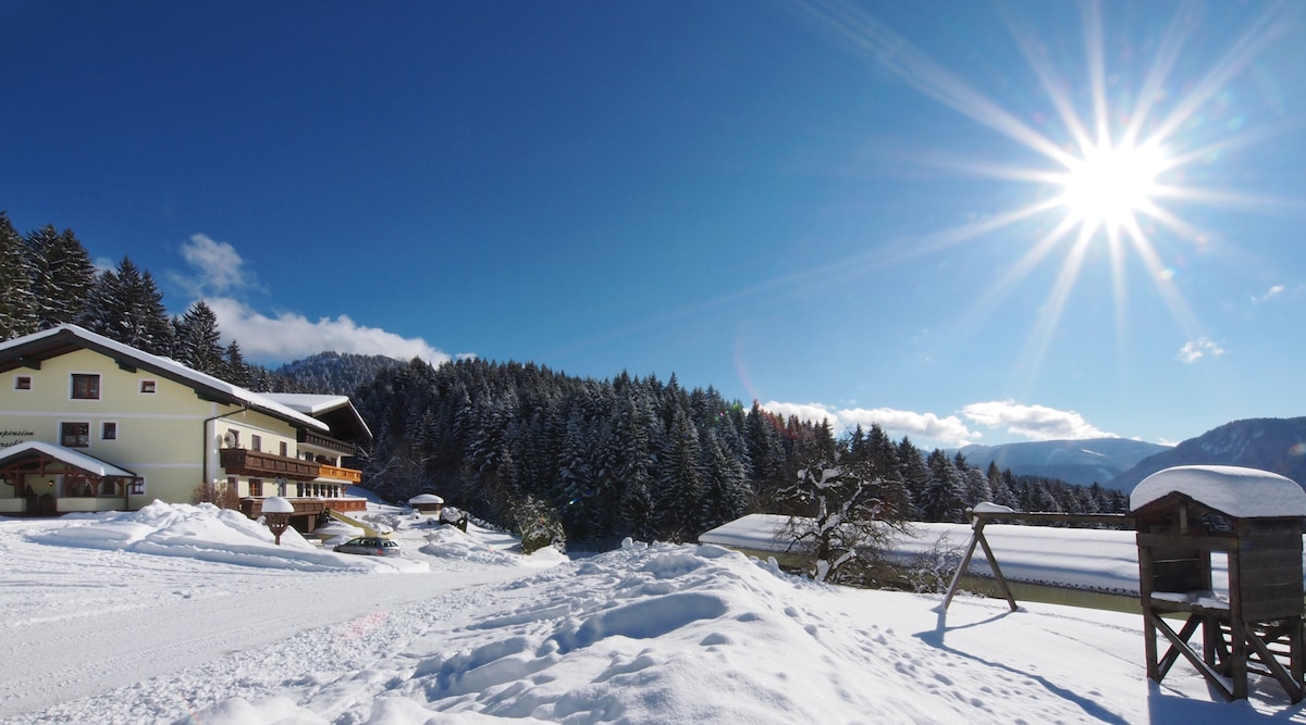 A charming alpine guesthouse is surrounded by snow-covered landscapes and tall, evergreen trees. The clear blue sky provides ample sunlight, illuminating the scene. A playground structure is visible in the foreground, indicating a family-friendly atmosphere.