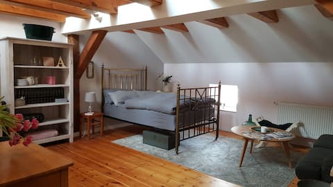 Sweet 35sqm Apt. right in the center of Potsdam