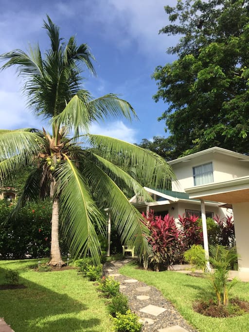 Lovely coconut tree and gardens on site.