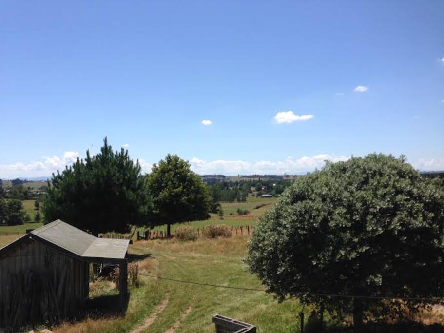 View from your balcony