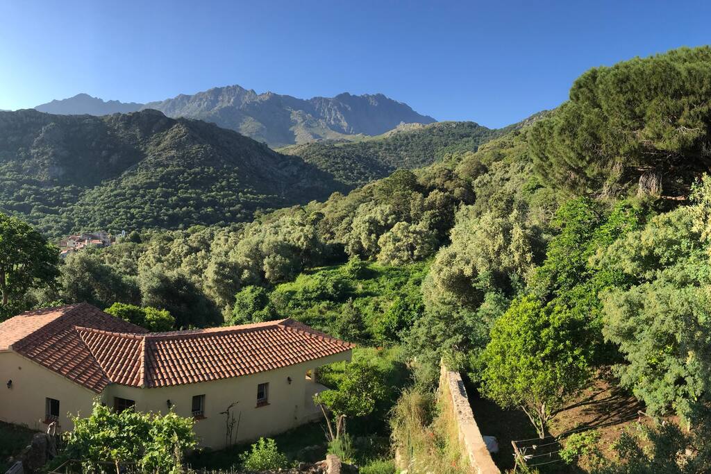 Vue de la terrasse
