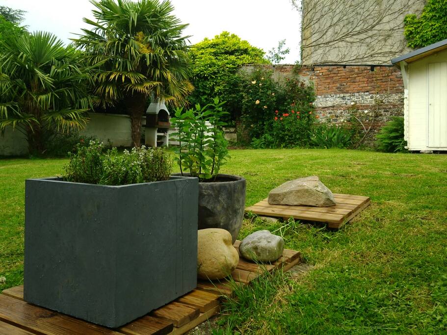 Le jardin. Le barbecue se trouve sous le palmier