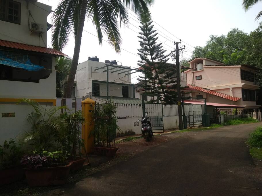 The neighborhood