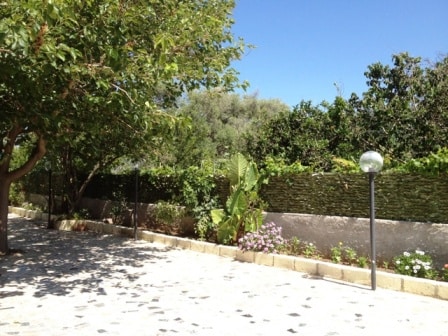 A serene garden area is depicted with a stone pathway lined by greenery. Various plants, including flowering shrubs and tall trees, are visible, providing a natural setting. Soft sunlight filters through the leaves, and a lamp post stands elegantly along the walkway.