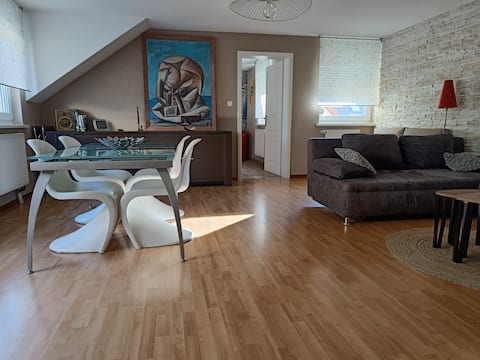 3 rooms 85 m2 Quiet close to Strasbourg