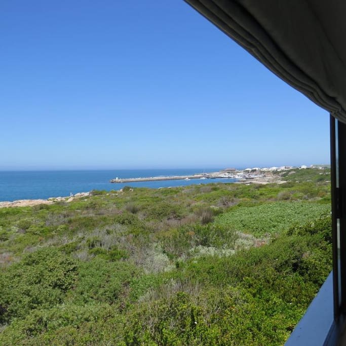 Harbour View