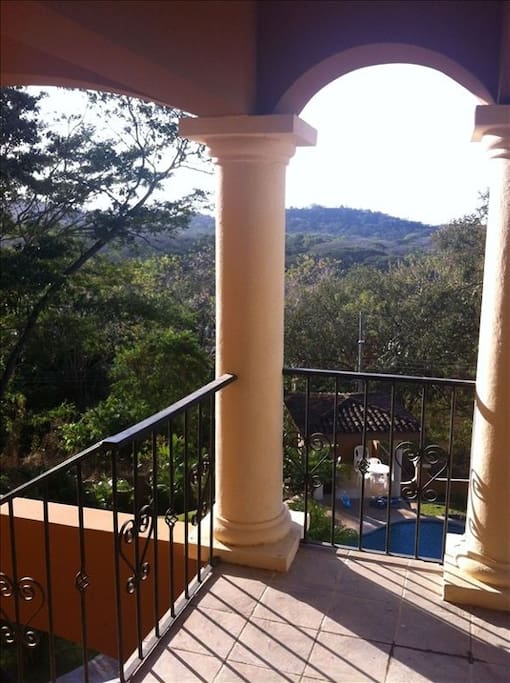 Rainforest View from entrance