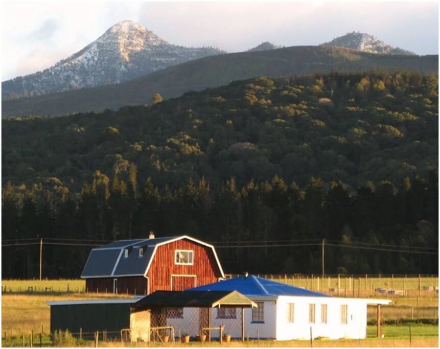 Beautiful landscape around farm!