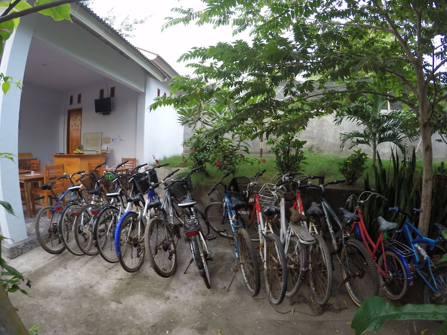 bike for FREE