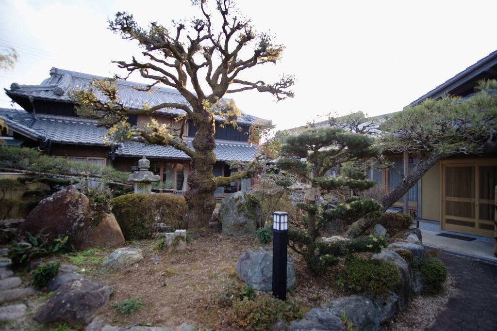 This is your view of the garden and traditional house from the log house