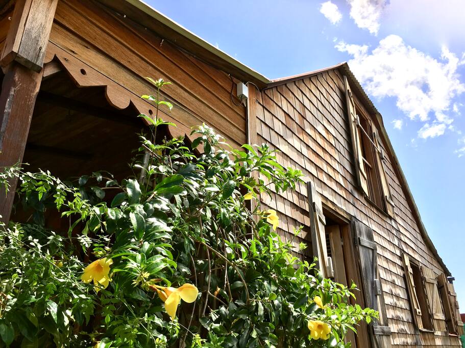 Coté droit de la maison