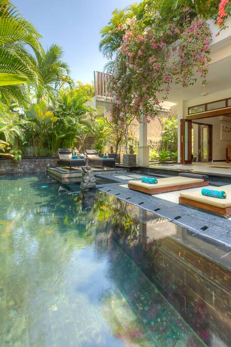 Sunlounges by the pool