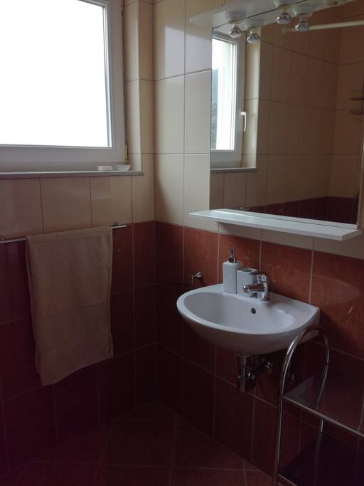 master bathroom with shower