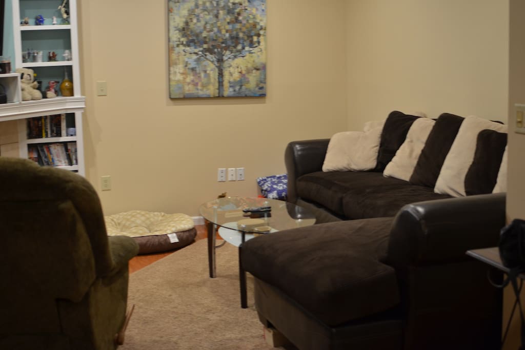 Family Room / TV Room