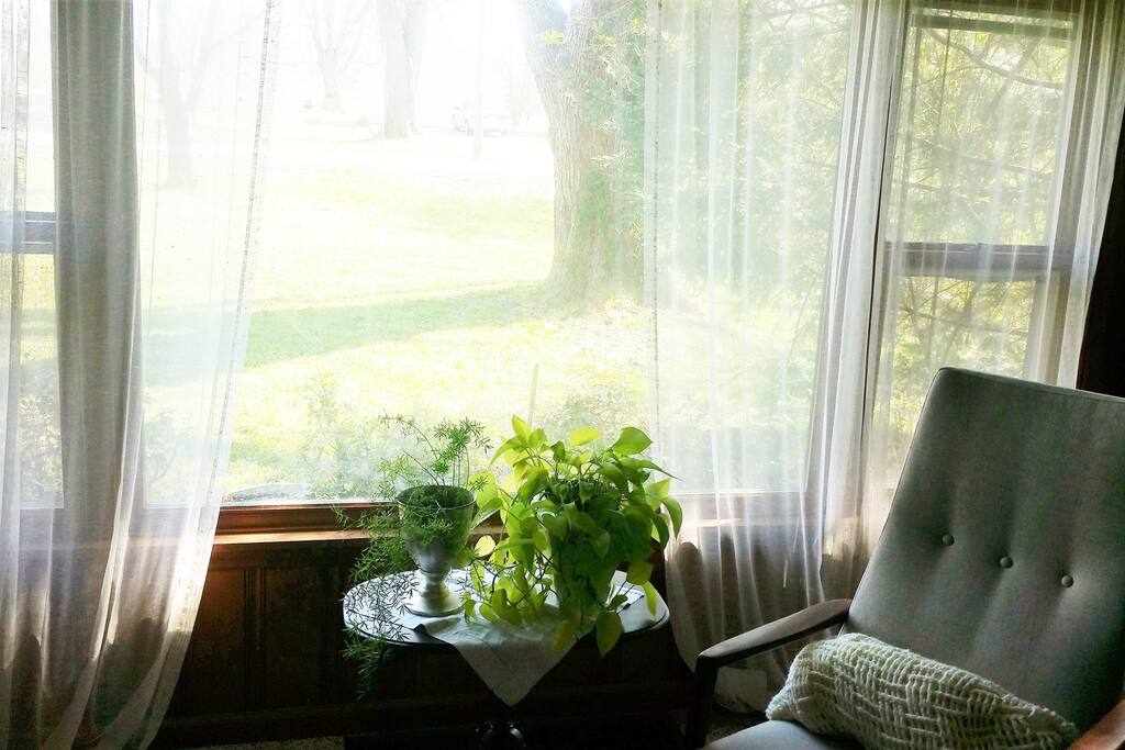 Big sunny windows, lots of great light