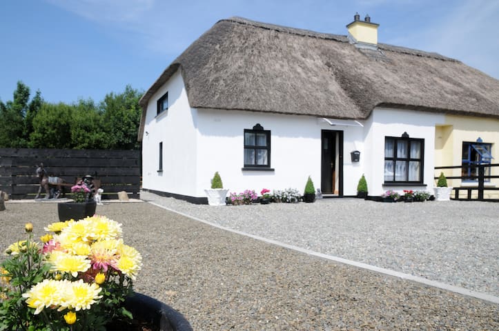 Airbnb Old Killarney Village Vacation Rentals Places To