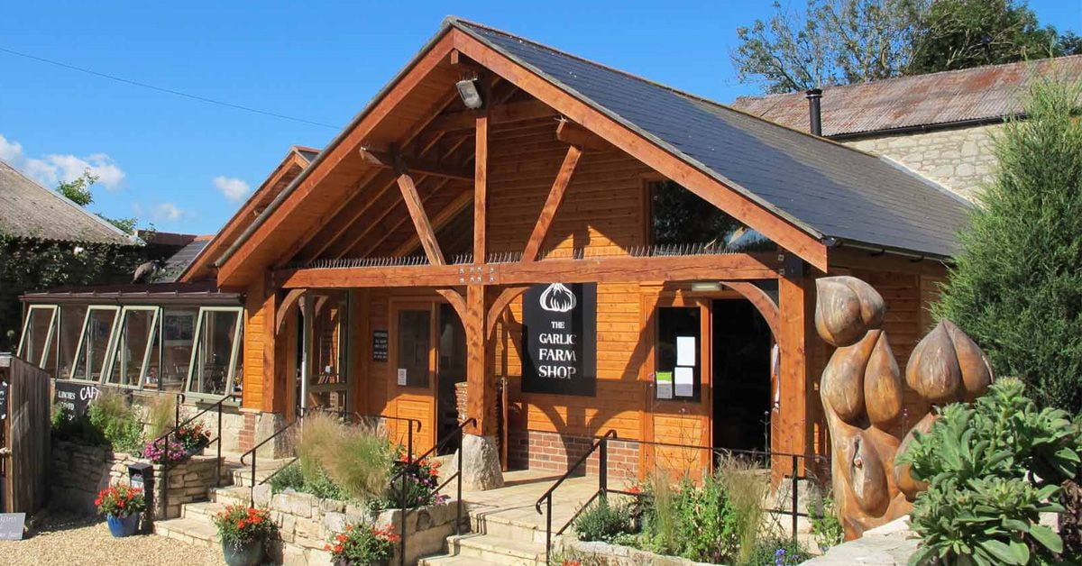 The entrance to the Garlic Farm shop is framed by a warm wooden structure. Large glass windows allow natural light to fill the space. Potted plants line the steps leading to the welcoming entrance, enhanced by sculptural garlic features on display.