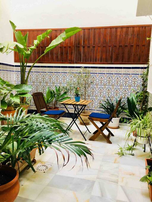 Private patio to enjoy the Andalusian sun! / Patio privé pour profiter du soleil andalou!
