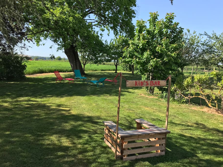 Jardin ombragé