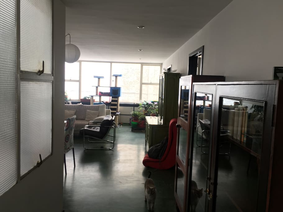 The hall