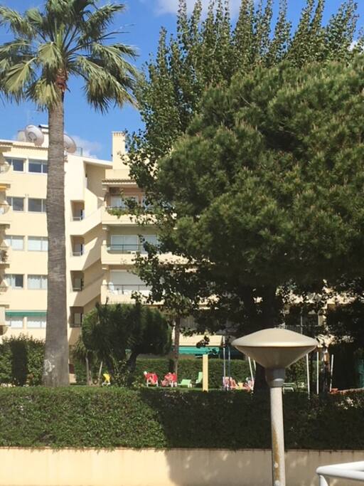 Piscina e jardim do condominio