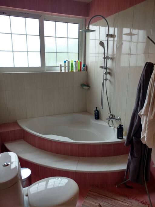 Master bathroom