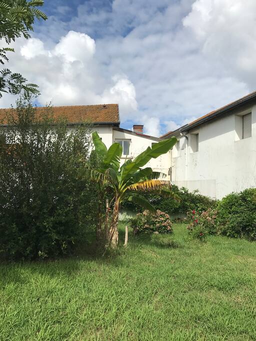 Vue extérieur/jardin