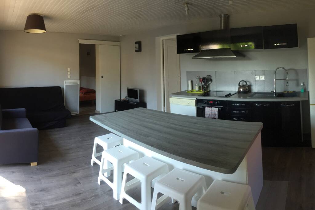Salon/Cuisine (25m2)