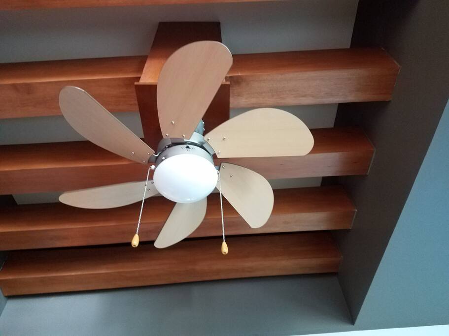 Ventilador