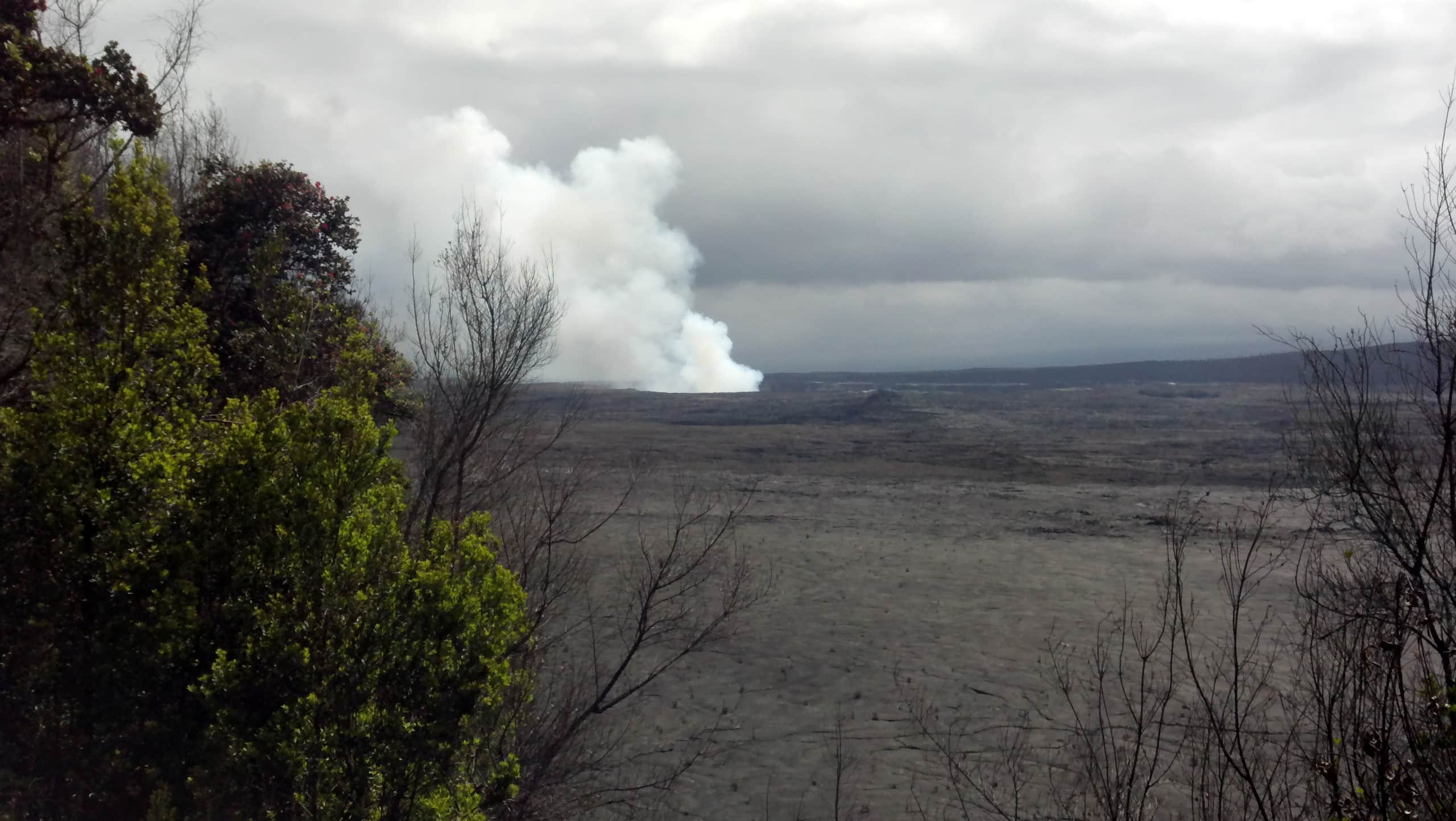 Explorer's Bungalow - Explore Volcanoes NP! - Photo 38