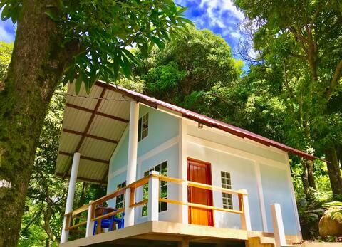 HiUP Treehouse Cabin - Ocean Views -By Best Beach!