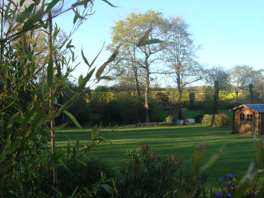 vue du jardin arrière maison