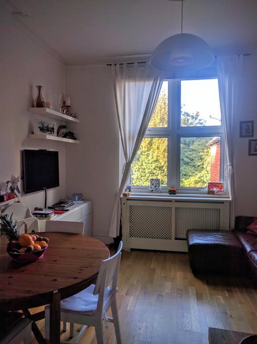 Open Plan Kitchen, dinning and living room (sofa-bed)