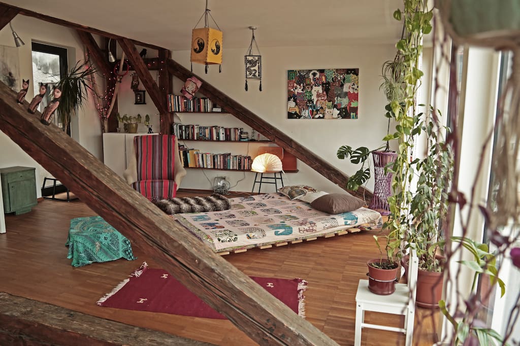Sleeping / living area