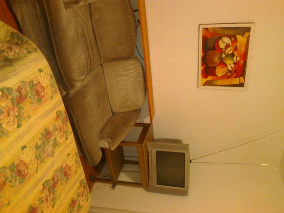 Otra parte del cuarto, donde hay un còmodo sofà y el televisor.