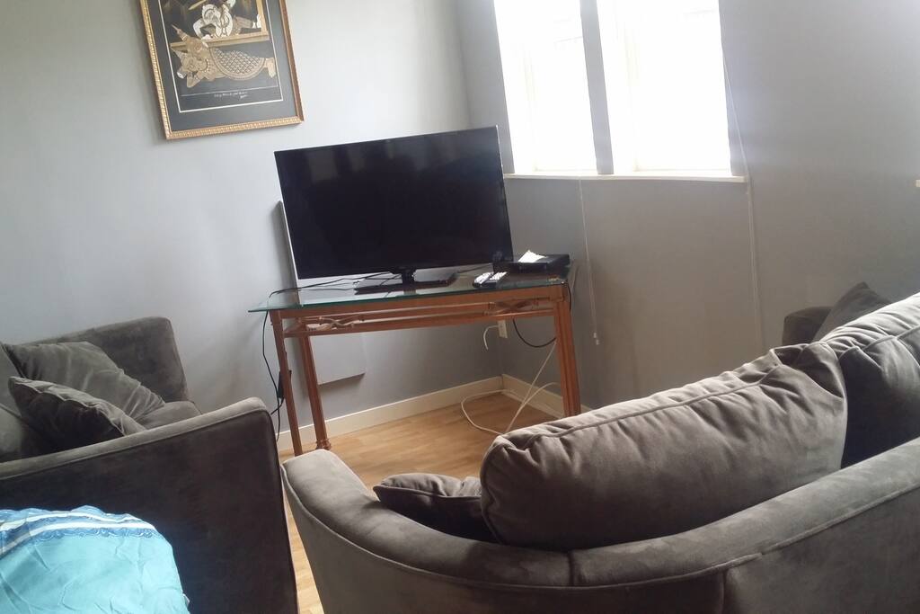 Comfy living room with 2 couches