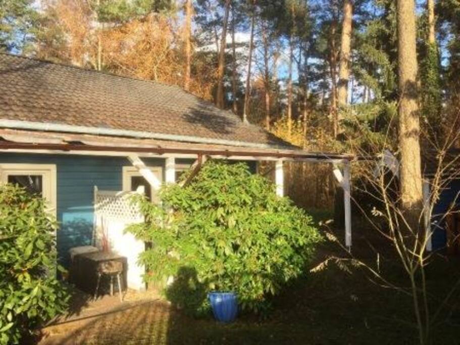Haus