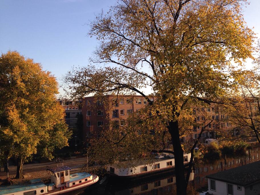 Autumn view