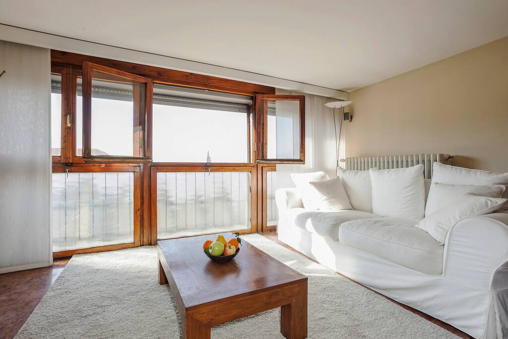 The living room & the sofa-bed