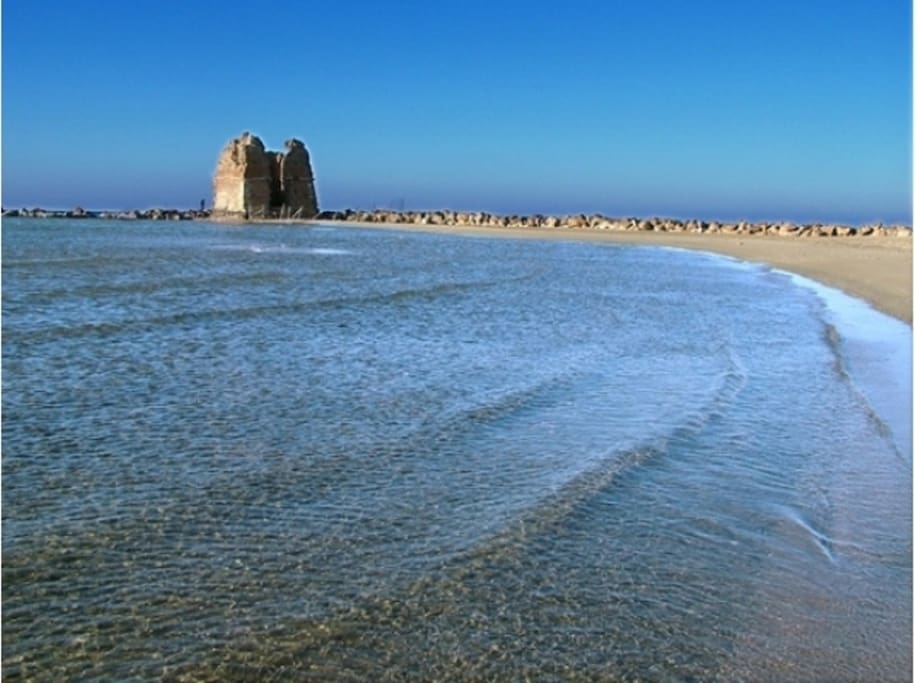 Ladispoli