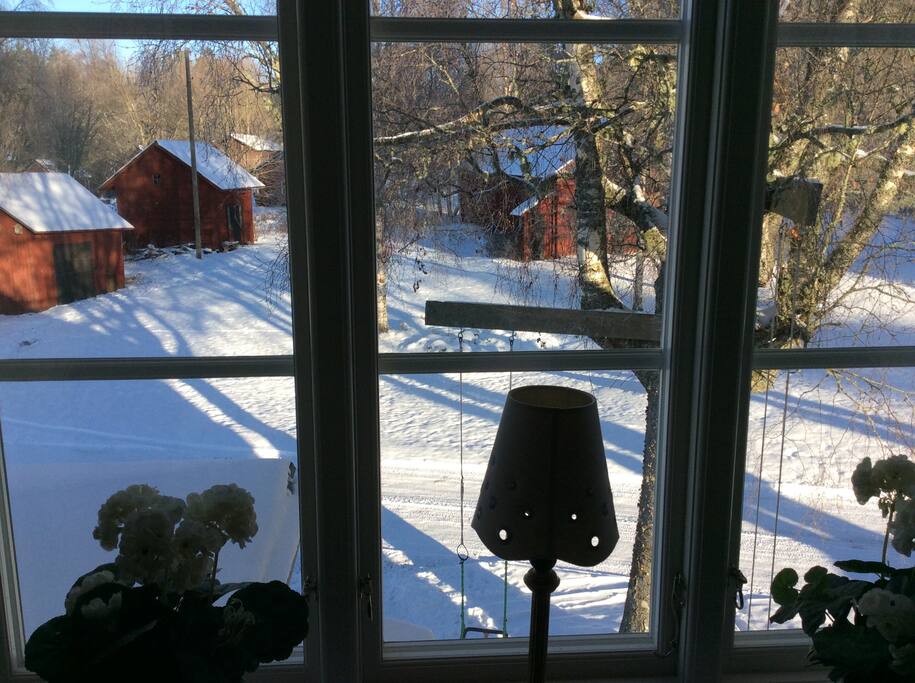 Vinter