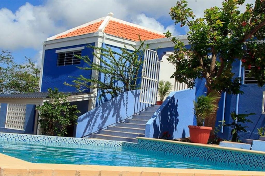 Backyard with infinity pool