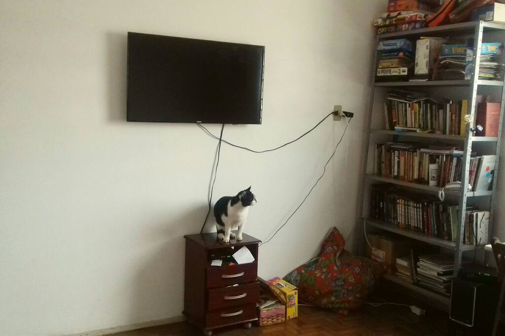 TVa Cabo (todos os canais), livros e gatos