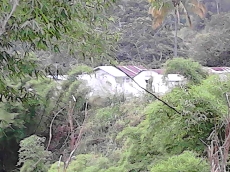 Cabins situated in various locations