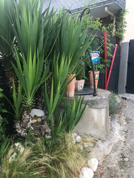 Entrée devant notre maison
