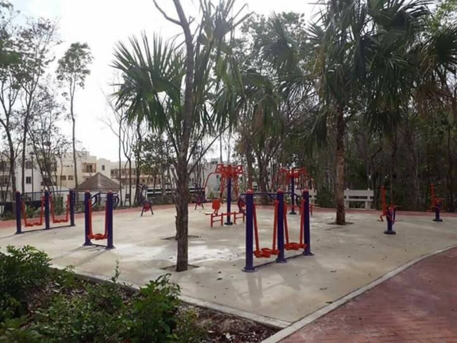 Area de ejercicios
