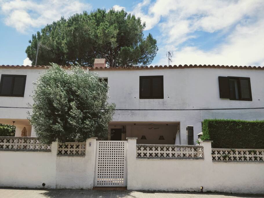 Vista frontal