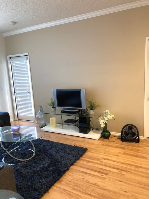 Cute little tv with cable and blue ray/dvd player