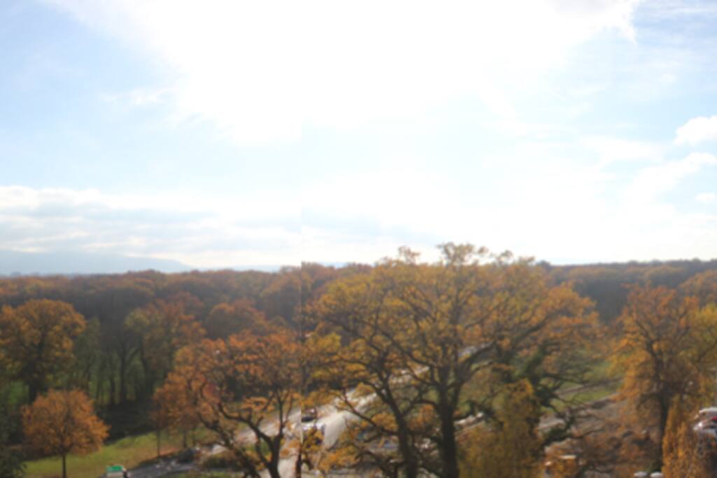 View from the kitchen, on the balcony is even better