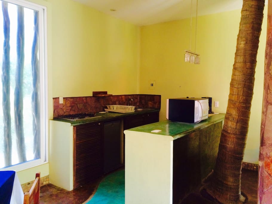 Kitchen and your own palm tree